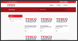 Case Study - Tesco 2
